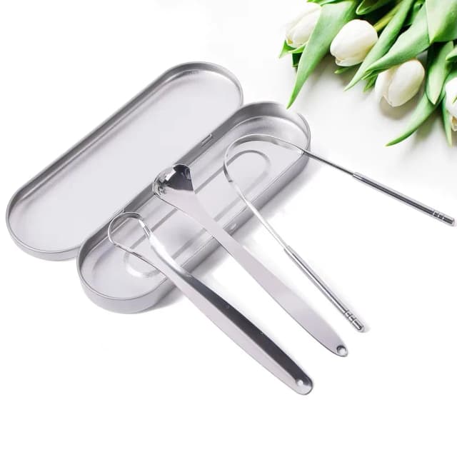 Nettoyeur de grattoir à langue en métal pour adultes et enfants, brosses portables en acier inoxydable pour enlever 1 pièce/2 pièces/3 pièces
