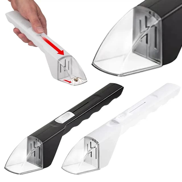 Attrape-insectes Transparent Portable, Type poussoir, capteur d'insectes sans contact, jouets pour enfants d'intérieur et d'extérieur