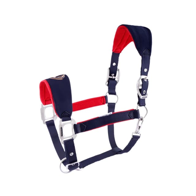 Halter équestre anti-usure de haute qualité, bride réglable lors de l'équitation, outils de sellerie, sports de plein air, Pablo