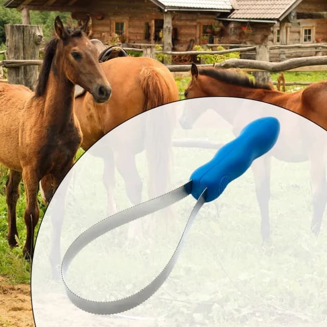 Peigne à cheval, grattoir à brosse équestre, peigne à cheval antidérapant, adapté aux chevaux, battes et toutes espèces canines, grattoir à sueur